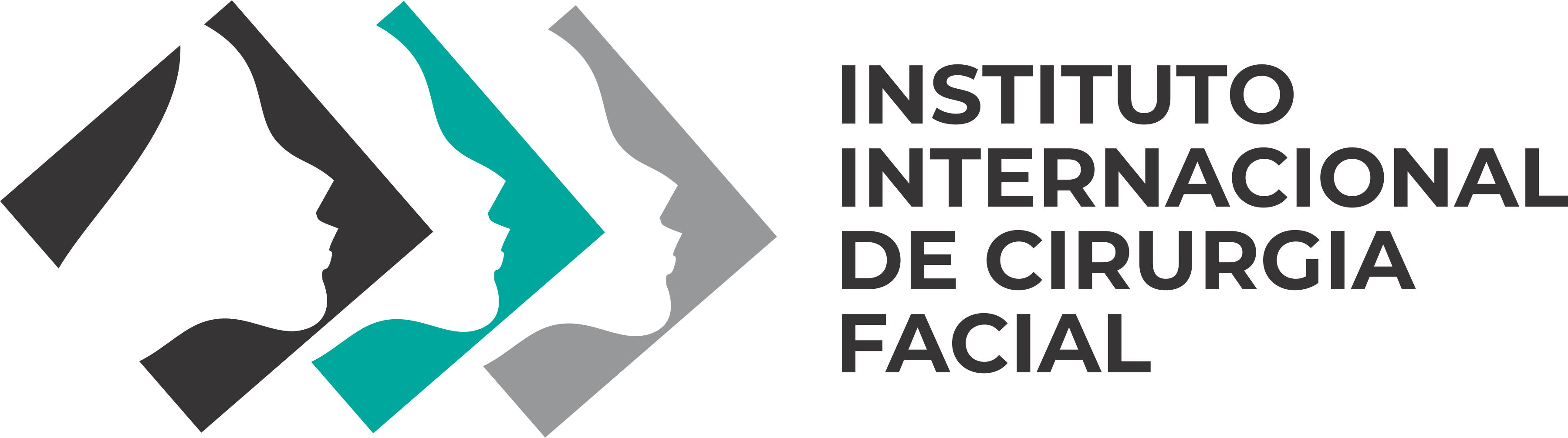 Logo 19 - Instituto Internacional de Cirurgia
